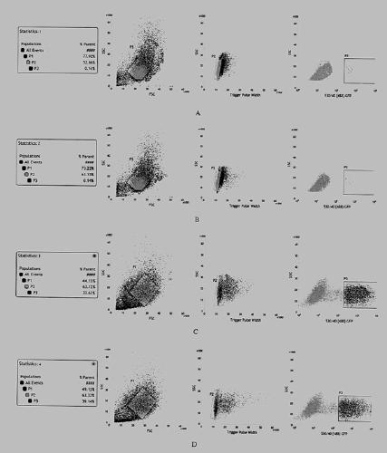 An auxiliary plasmid for efficiently constructing human stable expression cell lines and its construction method