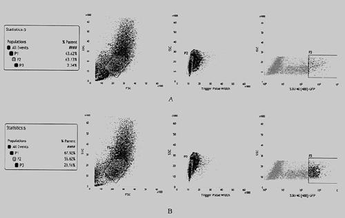 An auxiliary plasmid for efficiently constructing human stable expression cell lines and its construction method