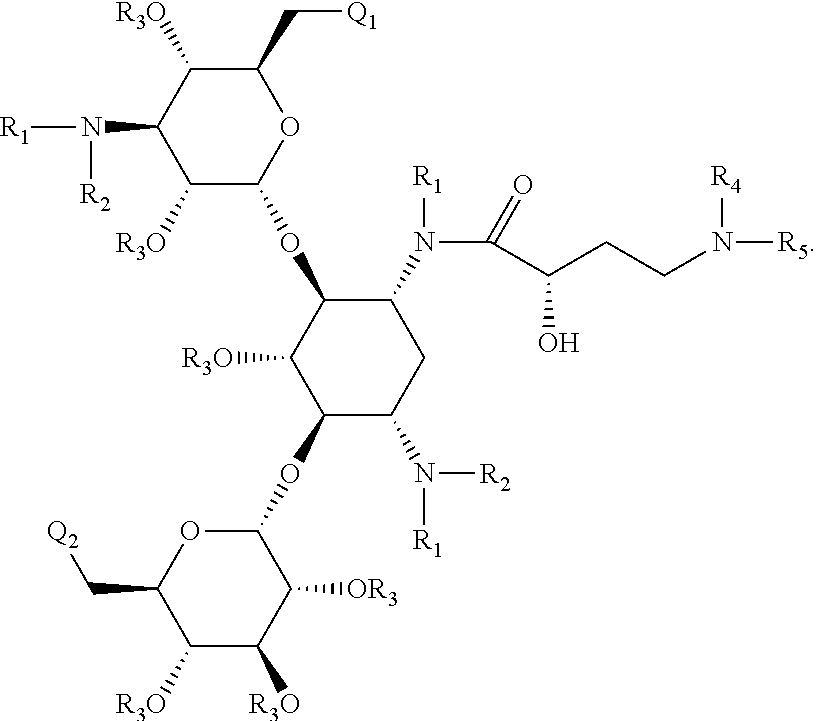 Antibacterial 4,6-substituted 6', 6" and 1 modified aminoglycoside analogs