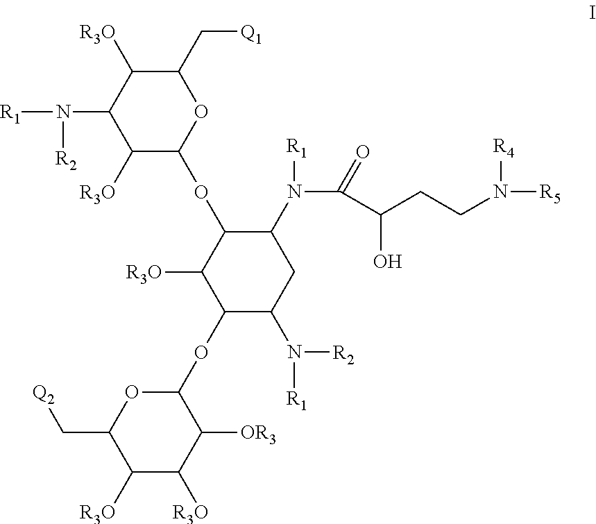 Antibacterial 4,6-substituted 6', 6" and 1 modified aminoglycoside analogs