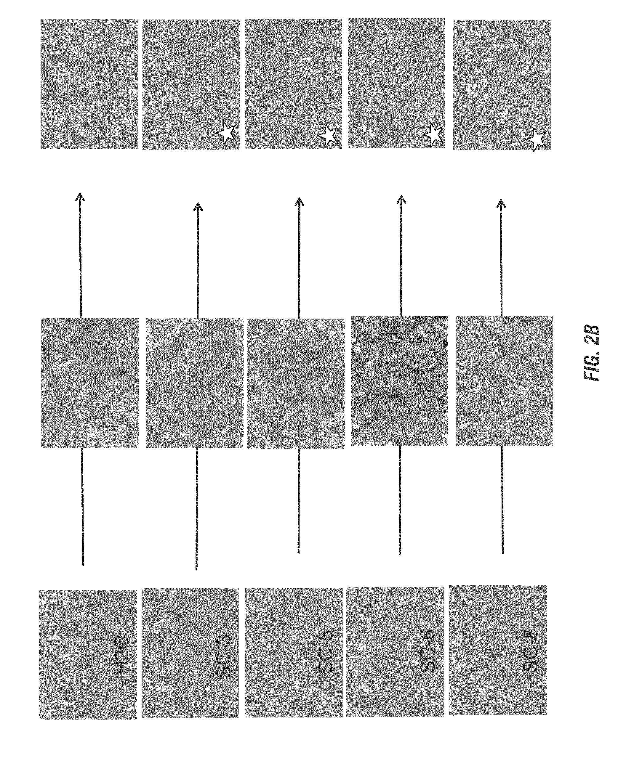 Leather and/or vinyl cleaner and moisturizer and method of making same