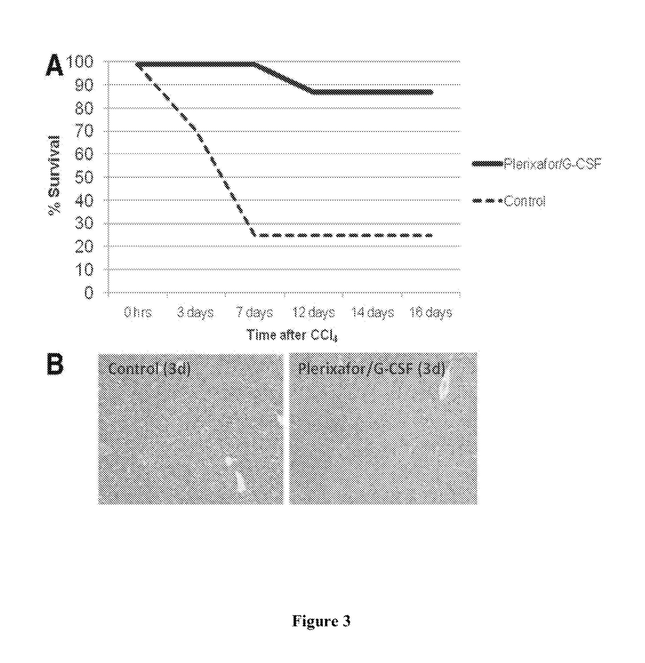 Methods of treatment using stem cell mobilizers