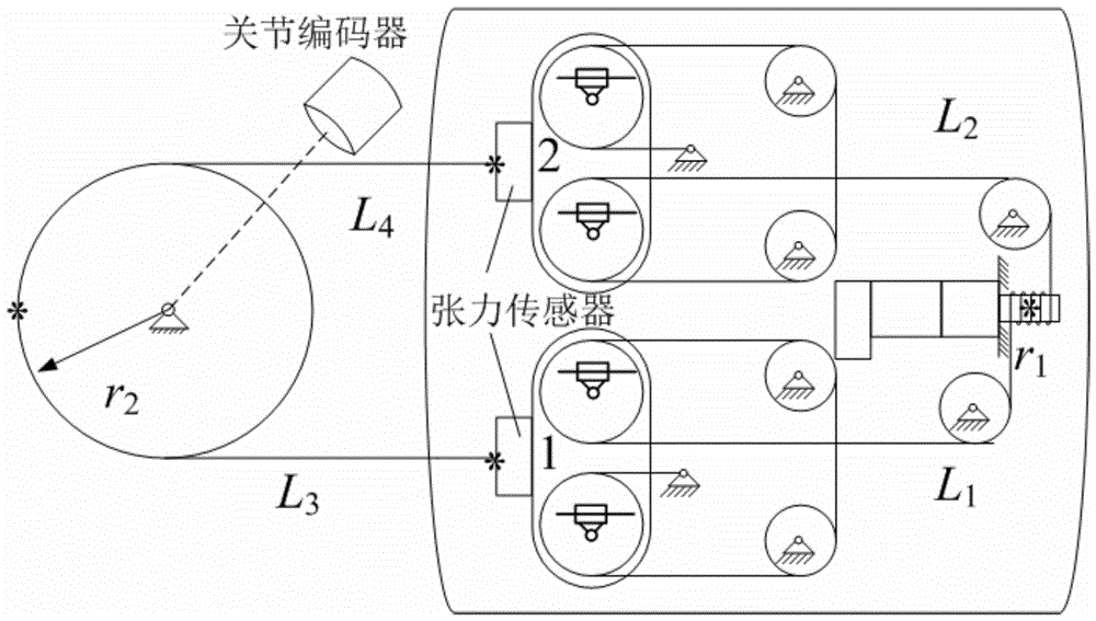 Control method of flexible drive unit for robot joints with tension and joint position feedback