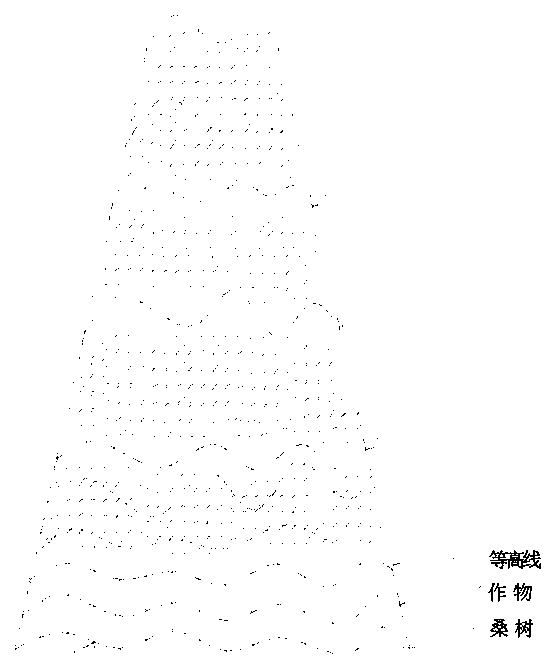 Construction method of soil erosion control system for mulberry trees in purple soil dry sloping land in the Three Gorges Reservoir area