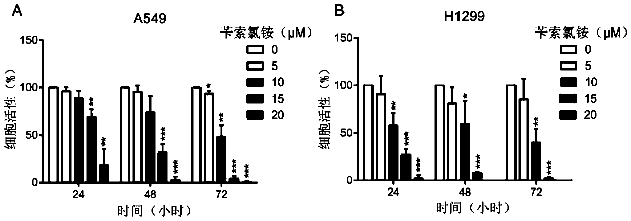 Application of benzethonium chloride in preparation of drugs to prevent and treat lung cancer