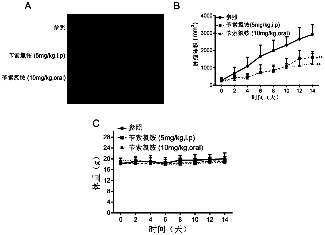 Application of benzethonium chloride in preparation of drugs to prevent and treat lung cancer