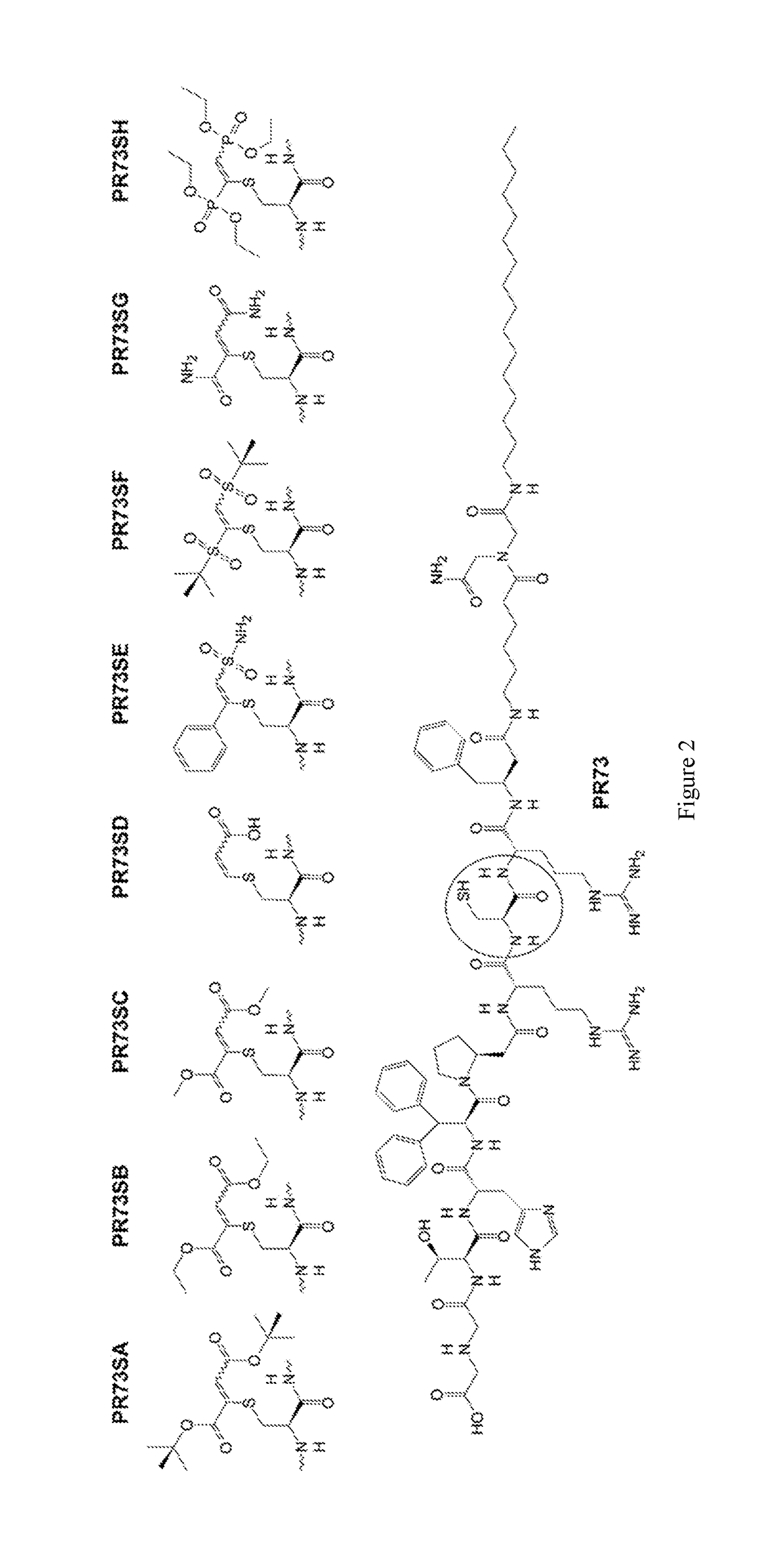 S-Alkylated Hepcidin Peptides and Methods of Making and Using Thereof