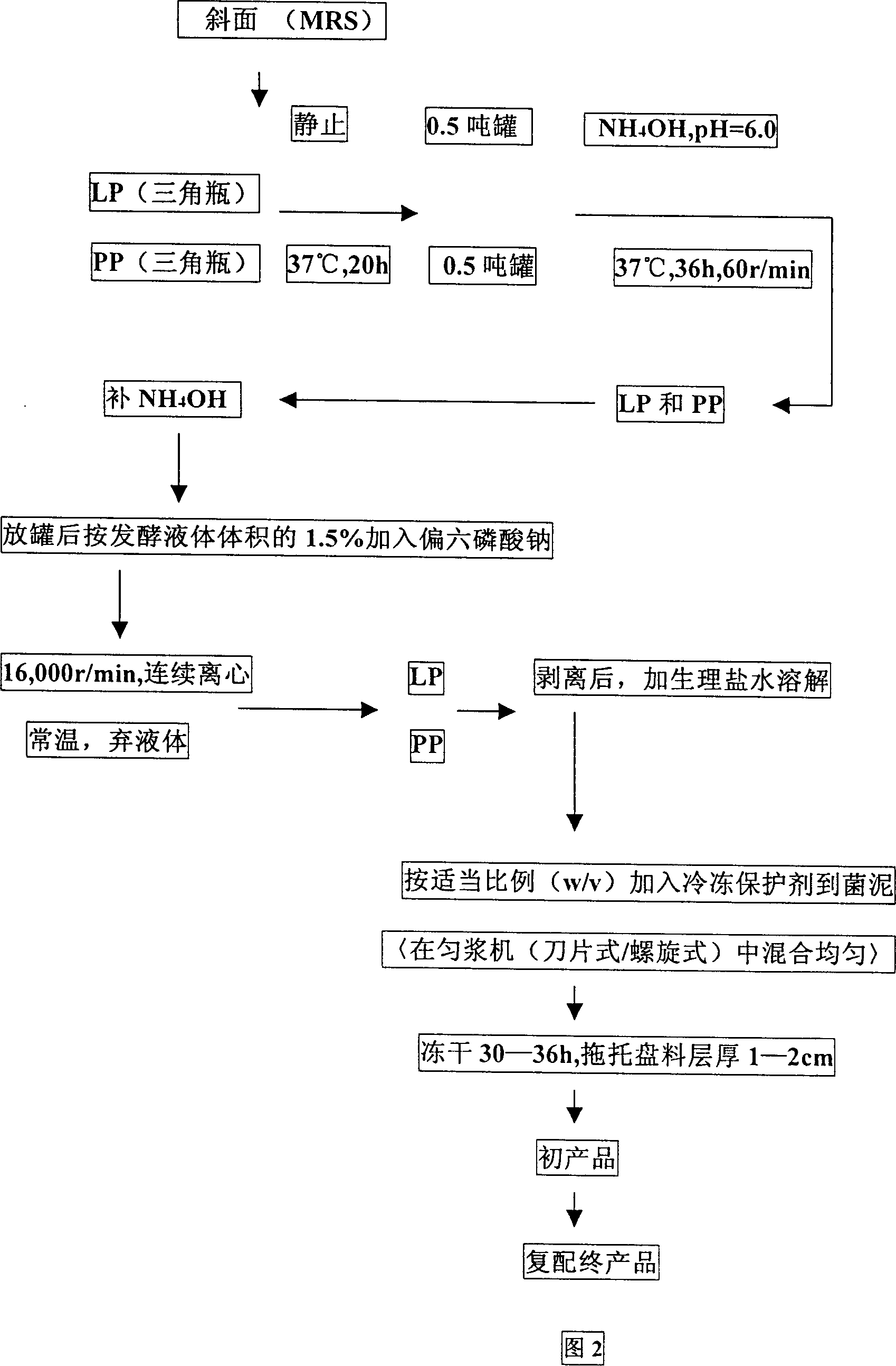 Special lactobacillus inoculum for silage and its making method