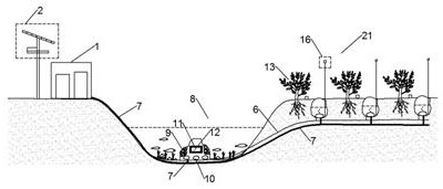 Planting soil targeted remediation system combined with intelligent irrigation technology