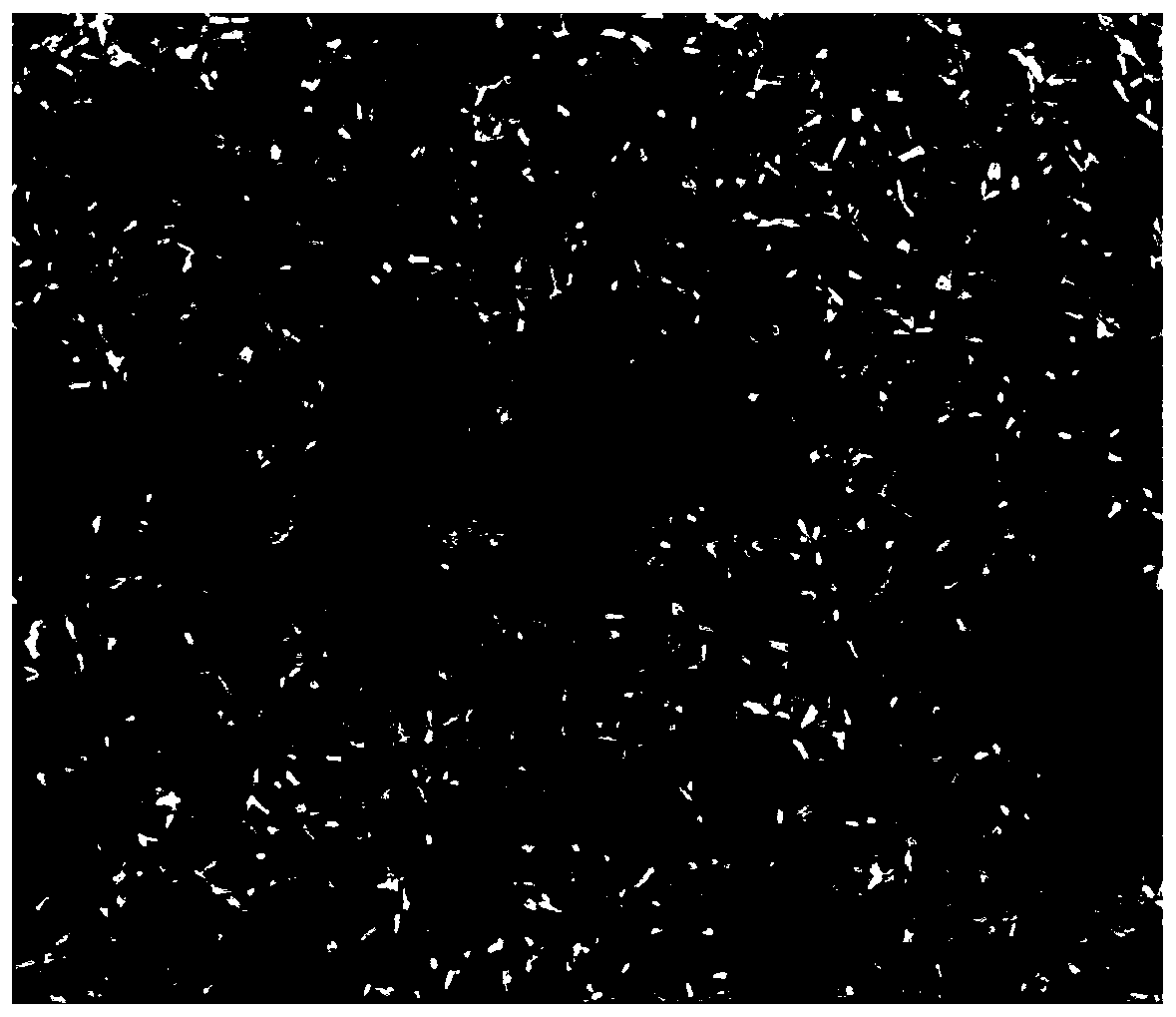 A kind of synthetic method of polybranch metal nanocrystal