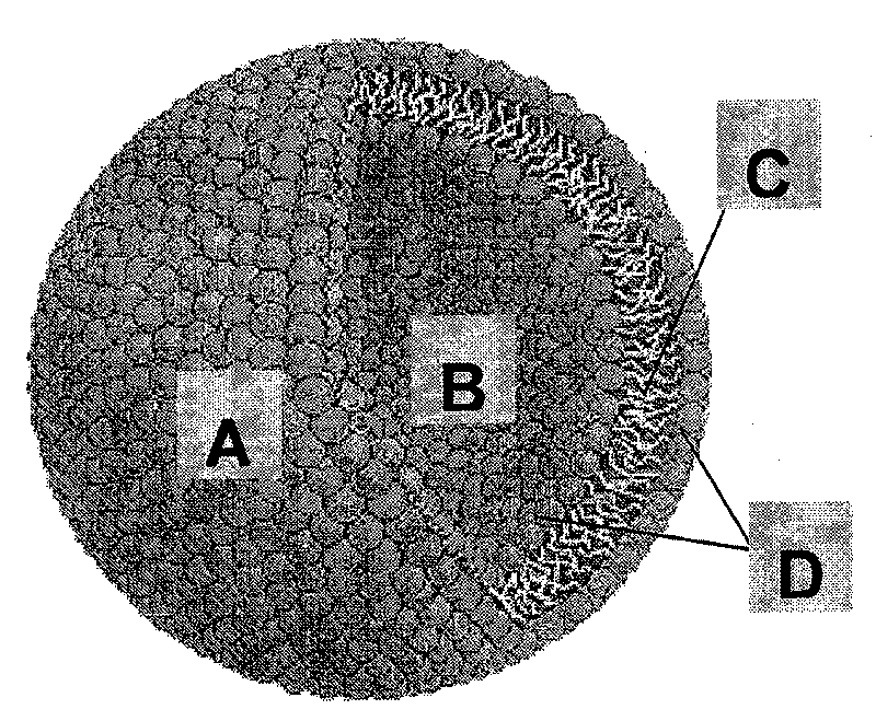 Carrier of liposome medication, and preparation method