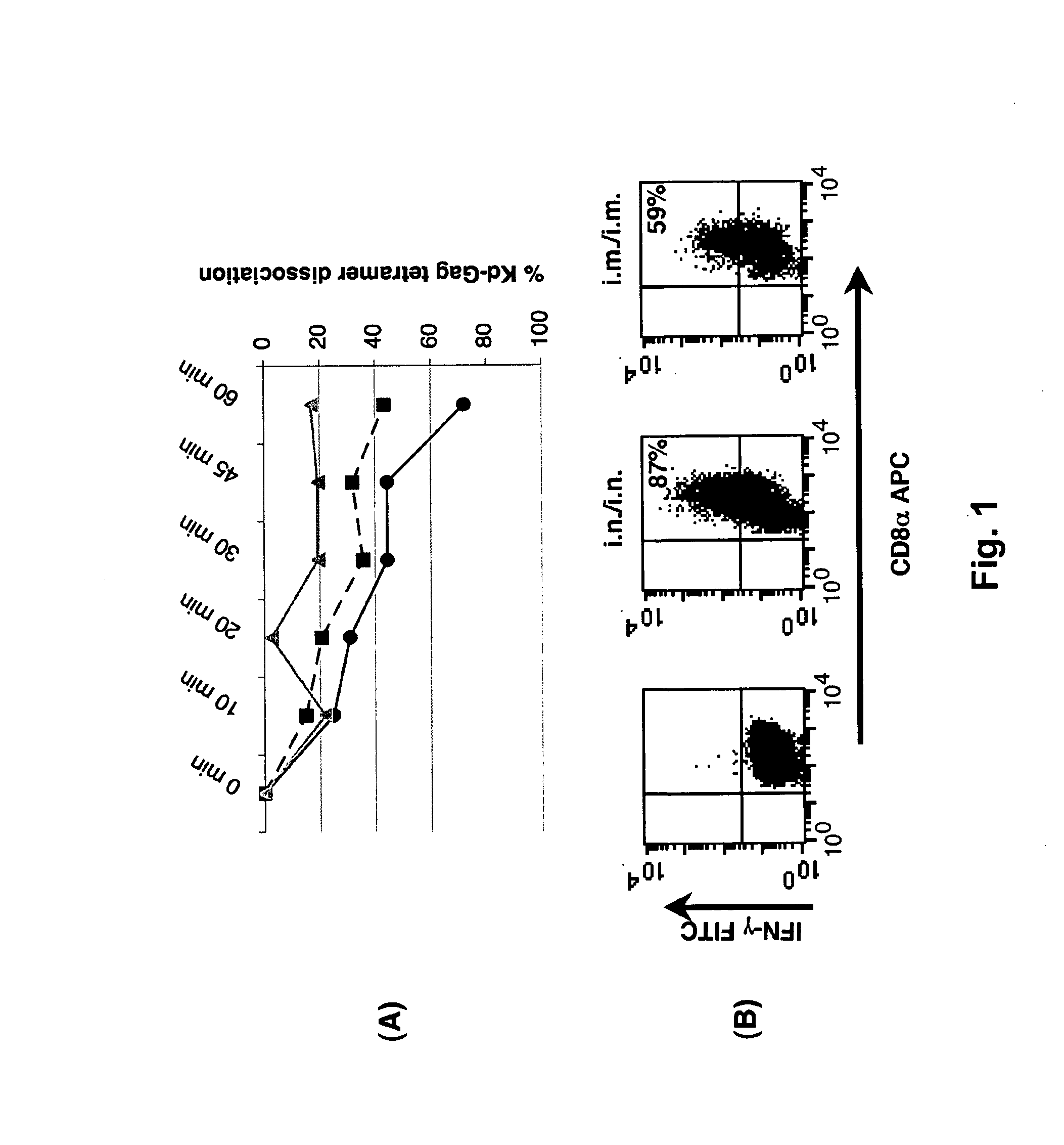 Immunomodulating compositions comprising interleukin 13 inhibitors and uses therefor
