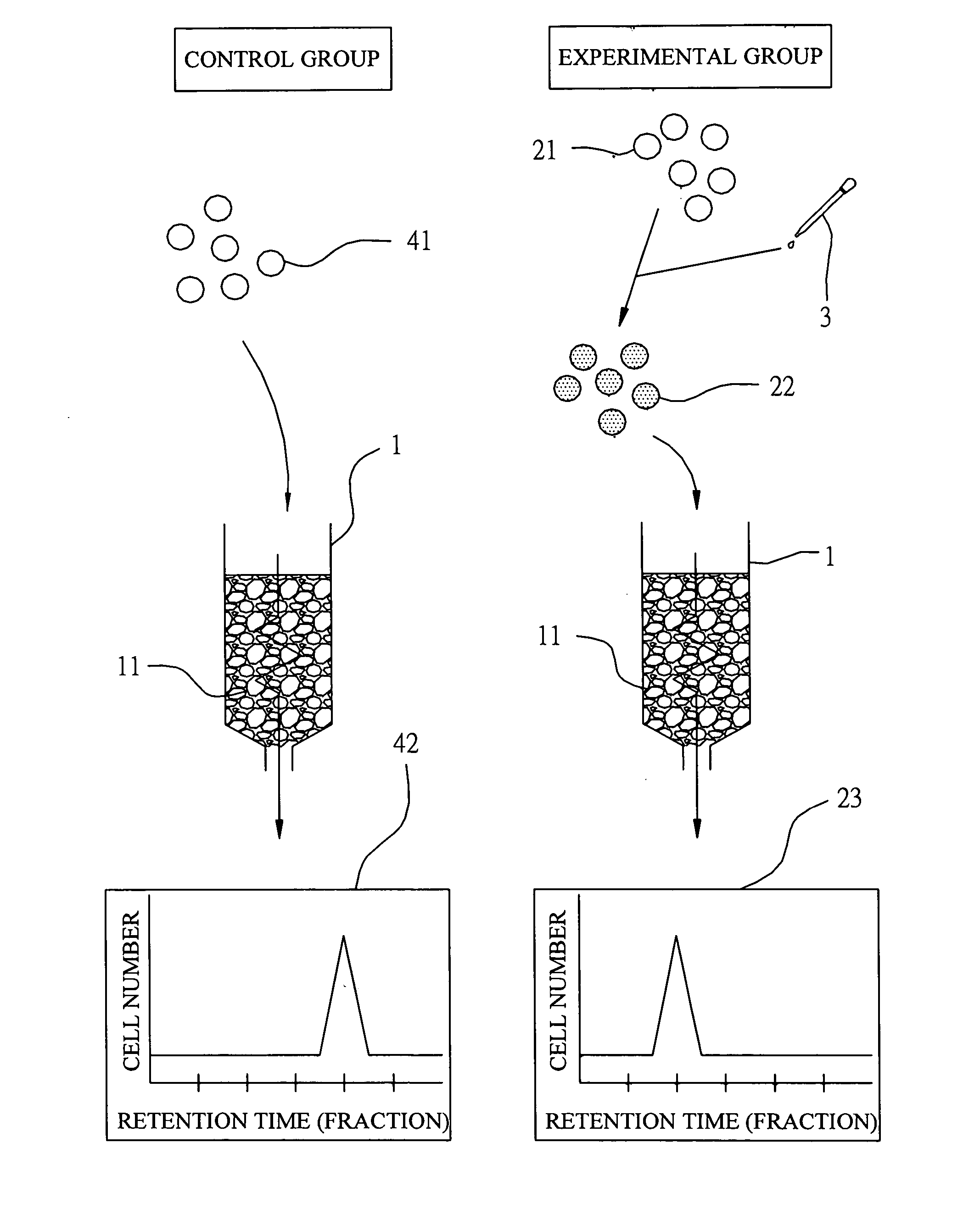 Apparatus and method for rapid separation of cells without using density gradient and antibodies