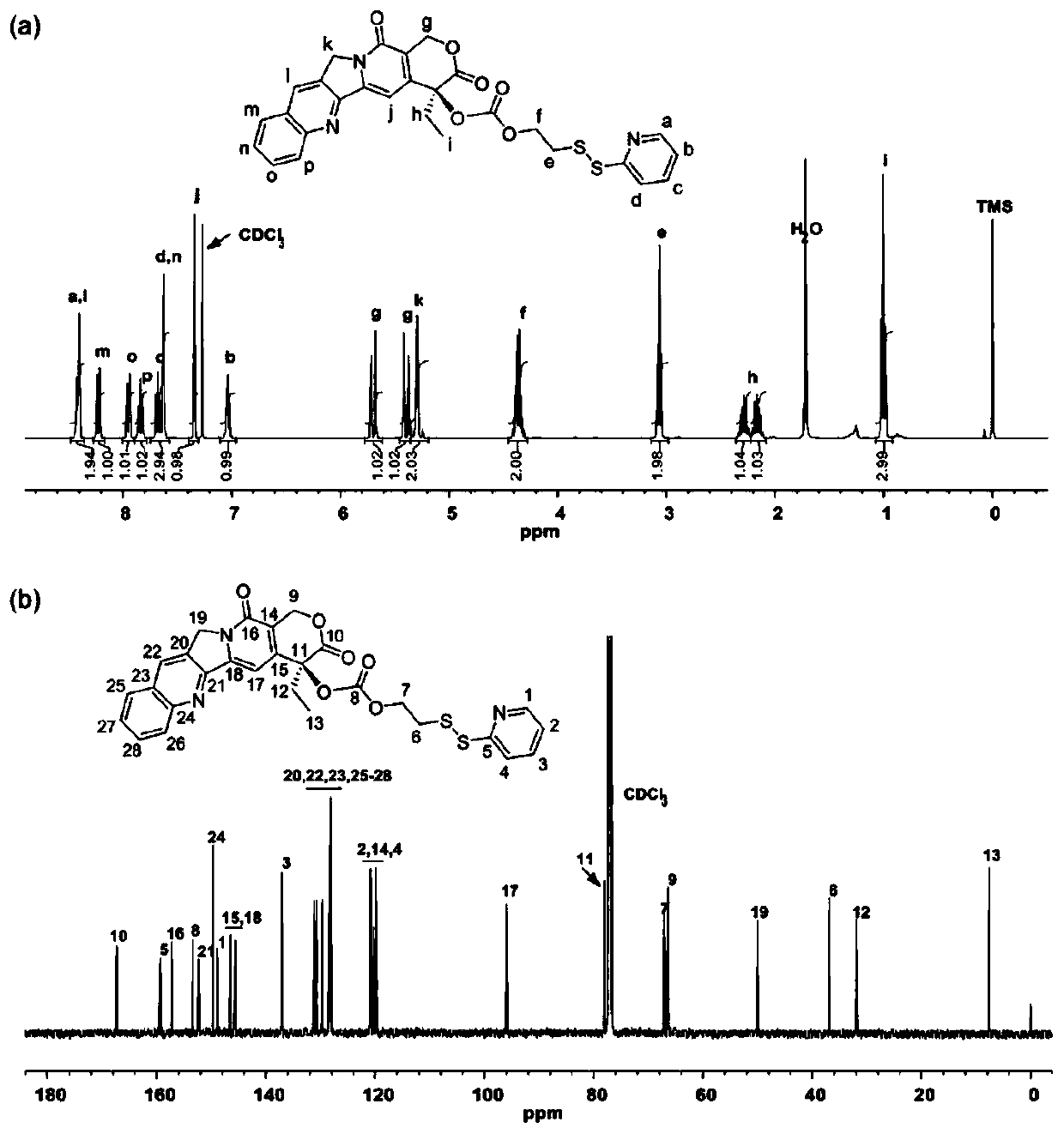 Polyamide-imide drug-loaded nanoparticle and application thereof