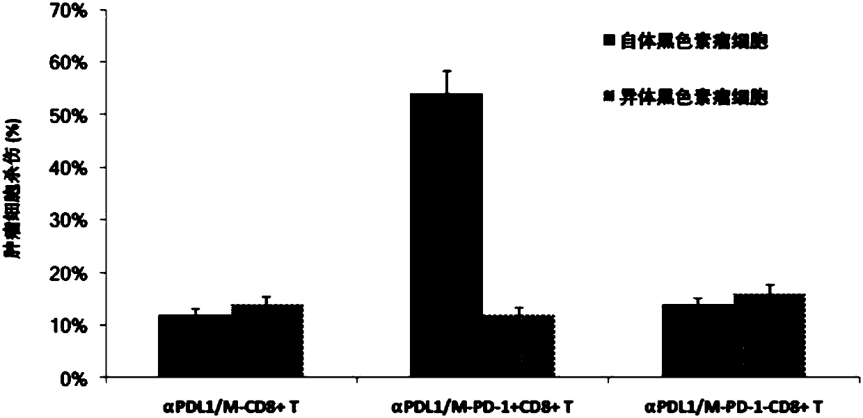 Co-expression cell of secretory anti-immune checkpoint antibody and tEGFR molecule and application thereof