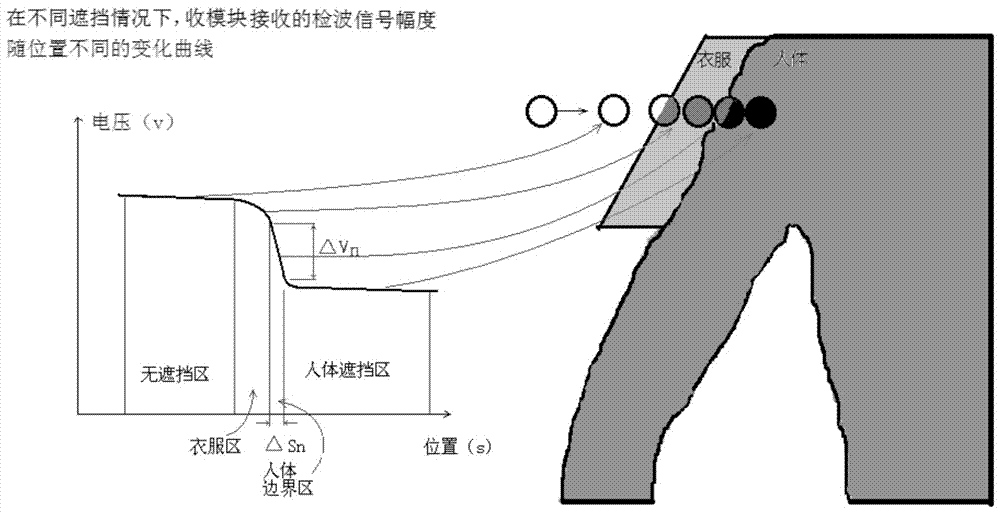 Method and system for measuring body contour line by millimeter wave perspective and constructing human three-dimensional image by using body contour line