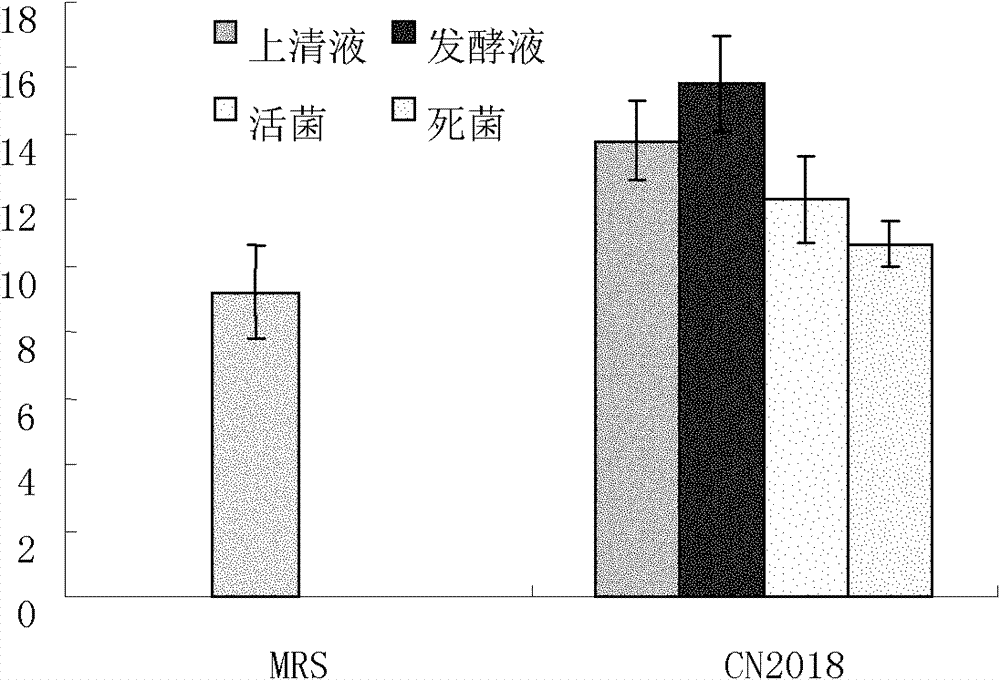 Lactobacillus plantarum for resisting helicobacter pylori infection and application thereof