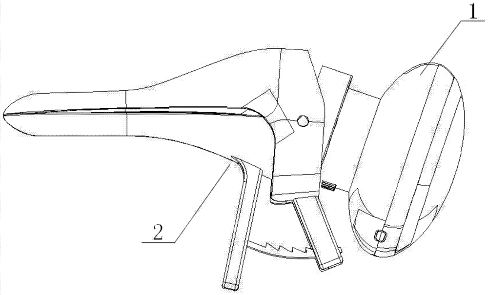 Combined vaginal and cervical detection device and visual cervical cell sampler