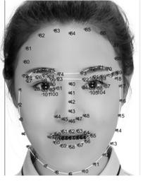 Prior algorithm-based facial expression image occlusion restoration method