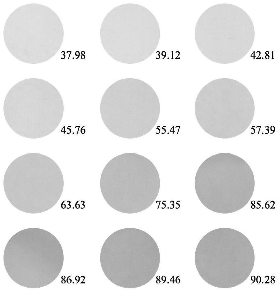 Two-dimensional determination method for ammonia nitrogen content in water body, soil or sediment