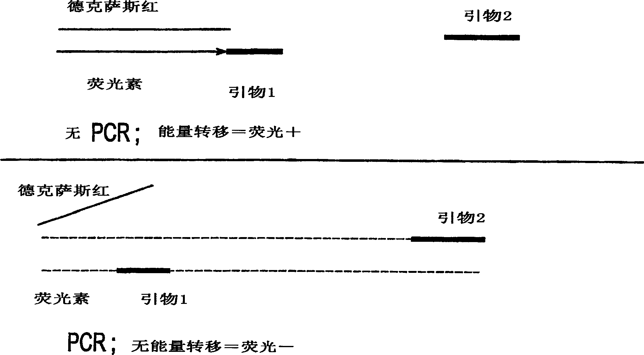 Methods and compositions for analysis of urine samples in the diagnosis and treatment of kidney diseases