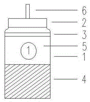 Specimen collection and storage device and method for prostate puncture and biopsy