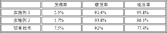 Highly-efficient nutrition-pot cultivation method for photinia fraseri