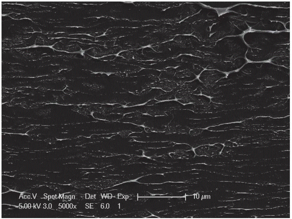 Method for preparing high-water-absorption resin with biological enzyme as catalytic initiator