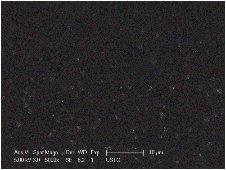 Method for preparing high-water-absorption resin with biological enzyme as catalytic initiator