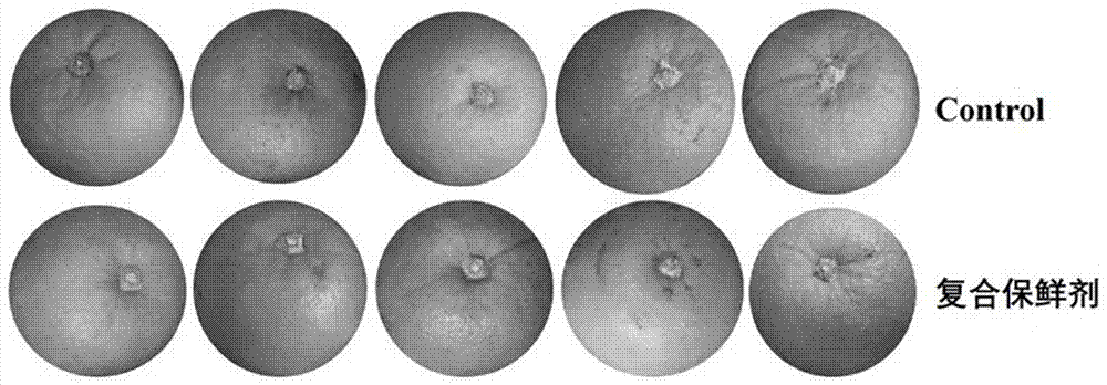 Preservative and application thereof in sweet orange postharvest preservation