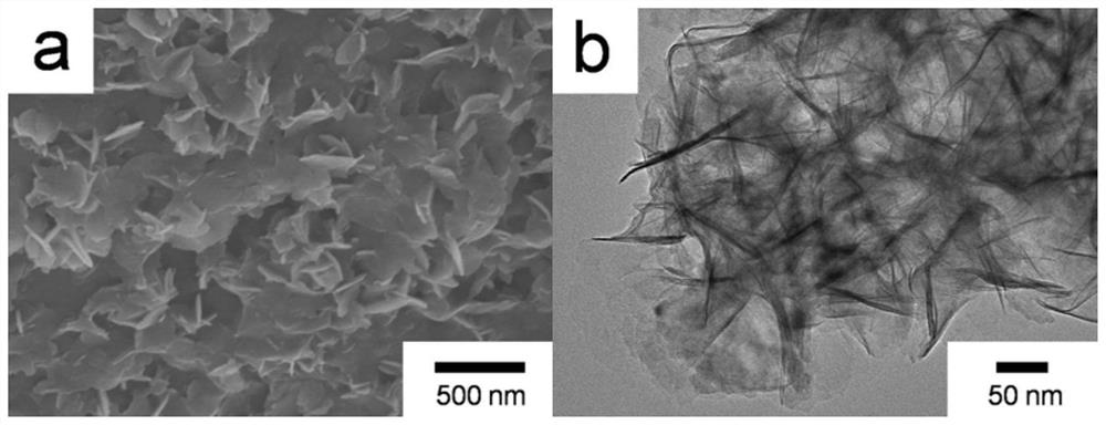 nis/ni(oh)  <sub>2</sub> @ppy/go nanosheet and methanol electrocatalytic modified electrode