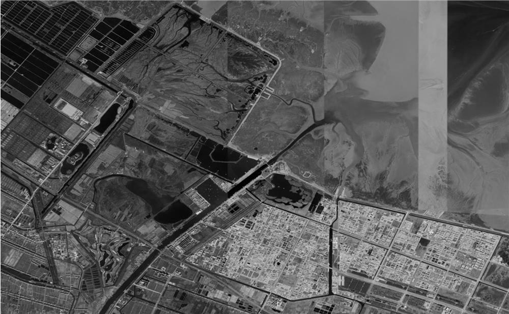 Coastal mud flat salinity inversion method based on remote sensing satellite image