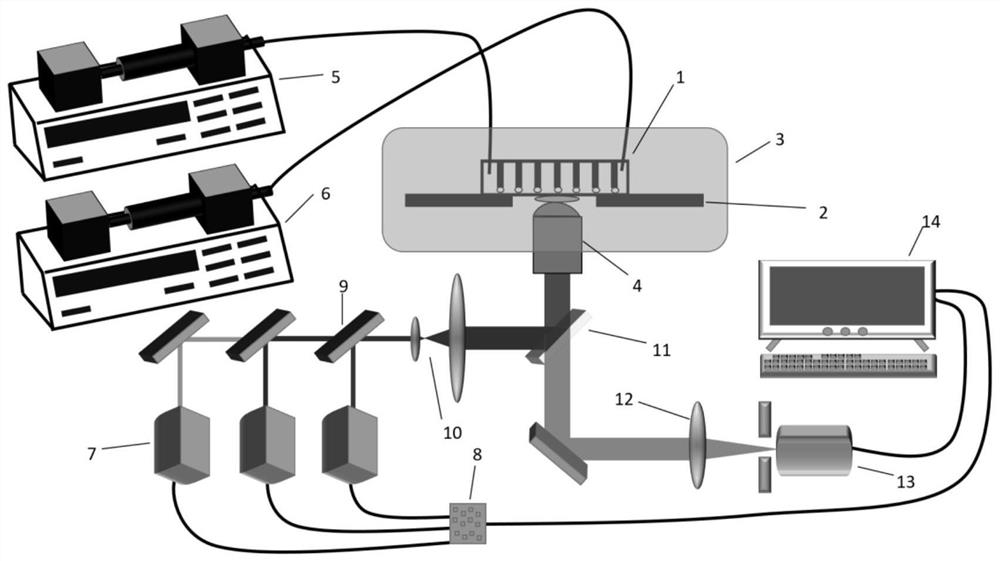 Micro-fluidic chip photostimulation device, yeast single-cell photoregulation gene expression method and application