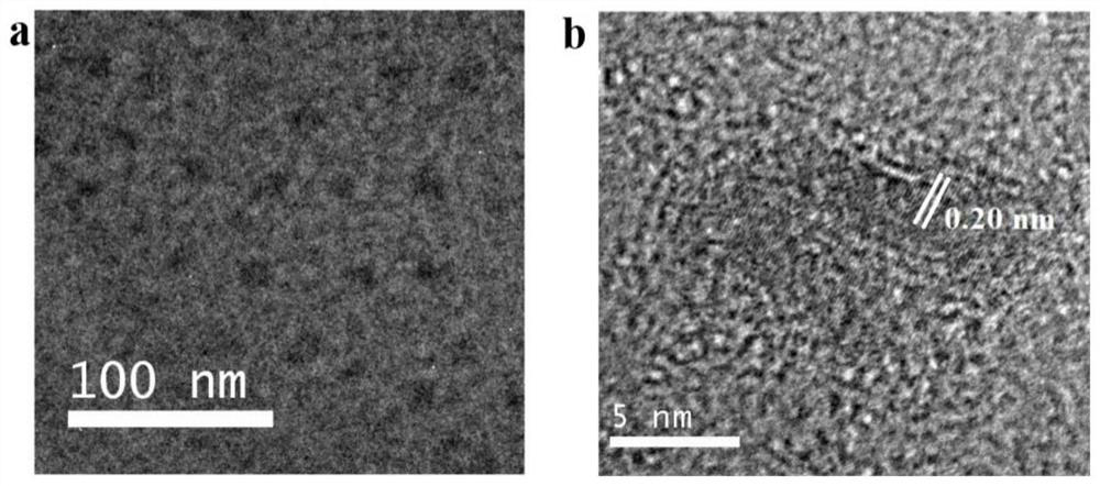 A kind of gain endogenous carbon quantum dot and its preparation method and application