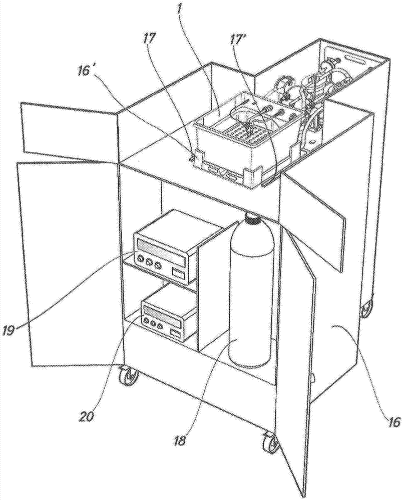 Device for the perfusion of a liver graft