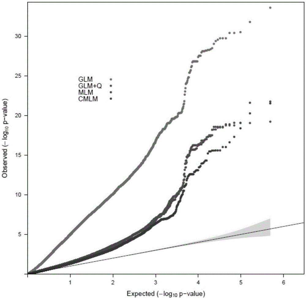 Gene SbAn-1 capable of controlling existence of sorghum awn and SNP mutation site and application