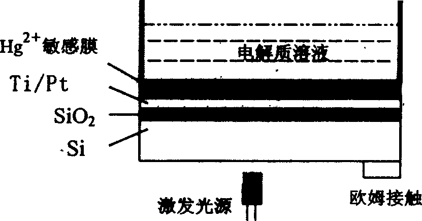 Film optical addressing electric potential sensor used for detecting Hg2+ and preparation method thereof