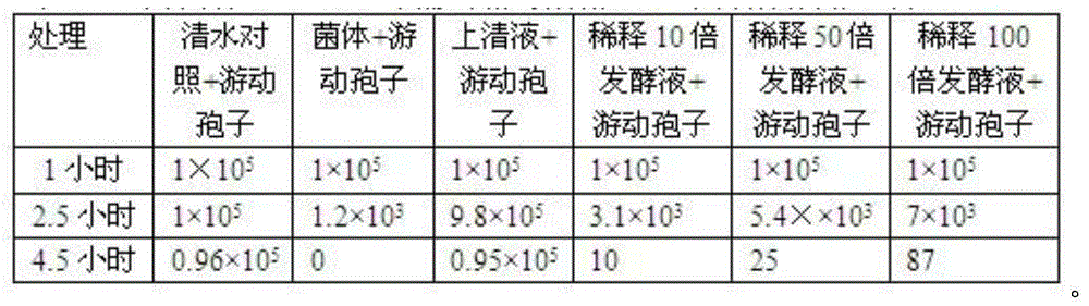 Biocontrol strain BCJB01 and application thereof