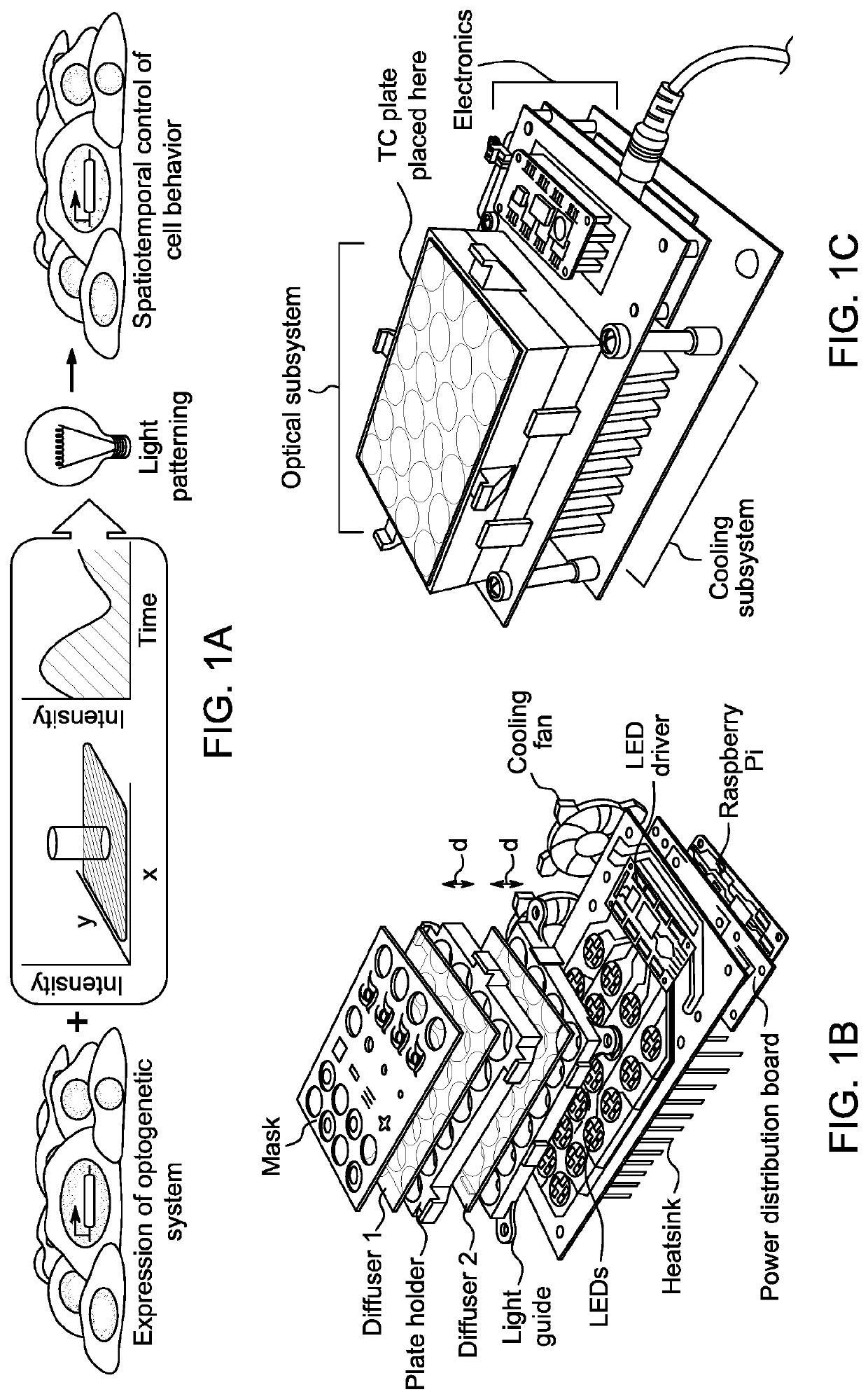Illumination device for spatial and temporal control of morphogen signaling in cell cultures