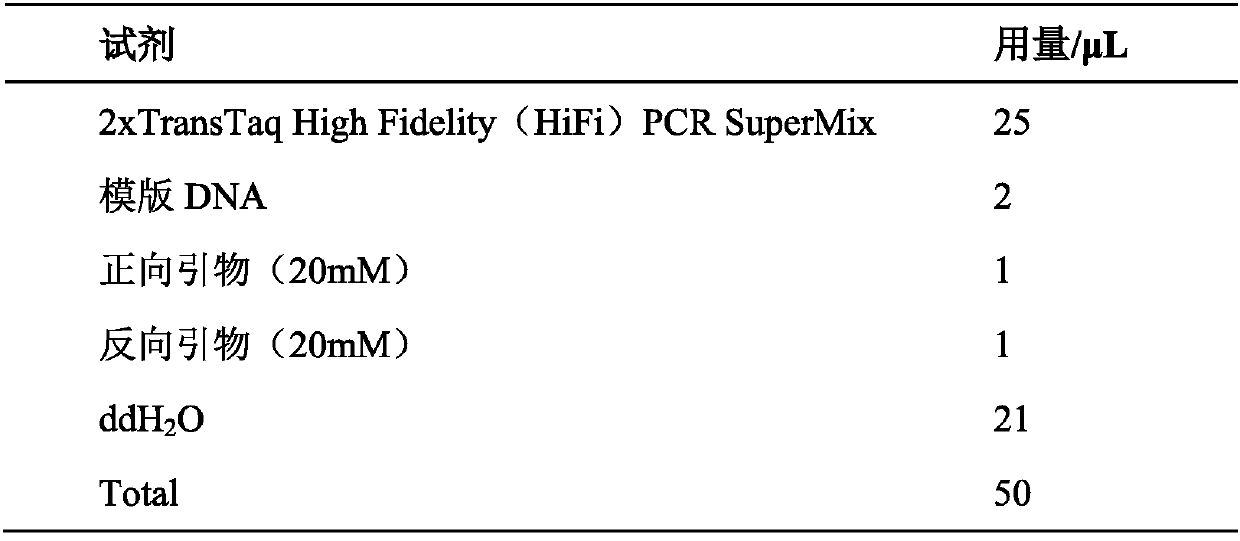 Construction method and application of a ketosynthetase gene knockout Schizochytrium engineering bacteria