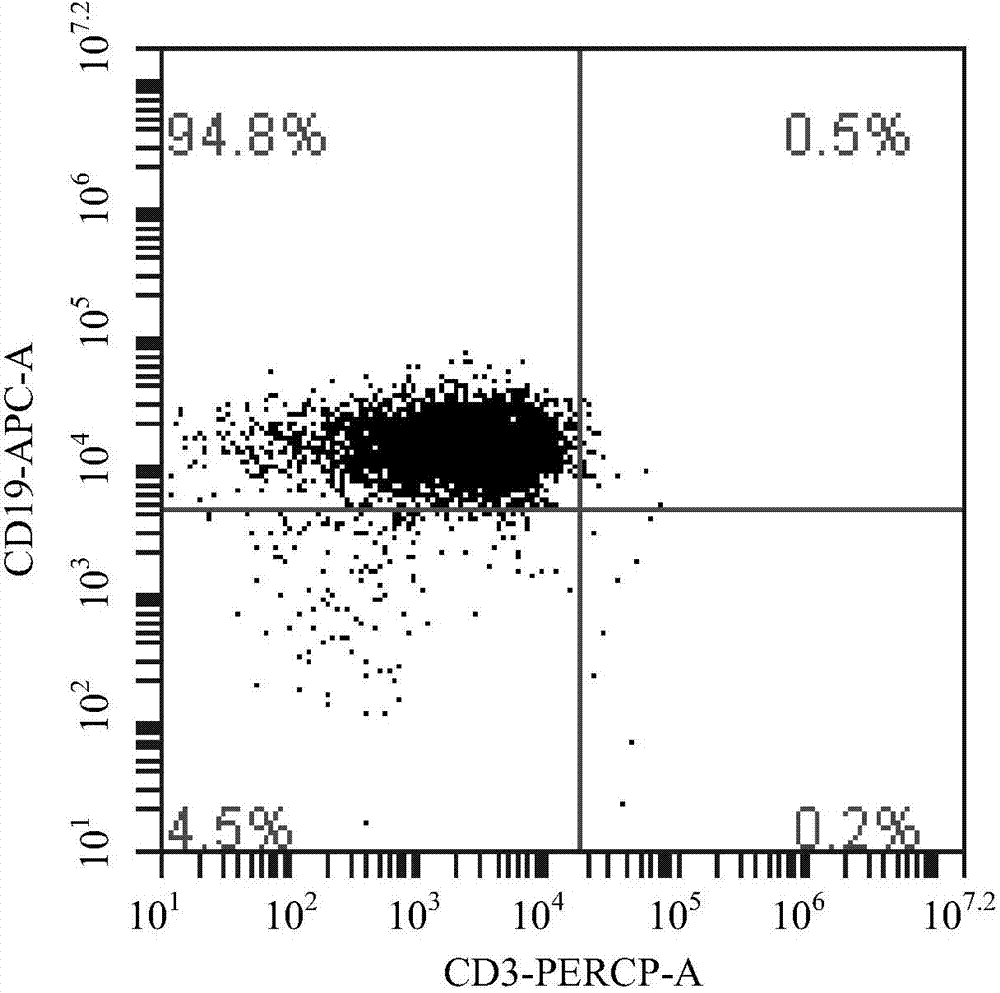 CD8&lt;+&gt; cytotoxic T lymphocyte for treatment of colorectal neoplasms and preparation method thereof