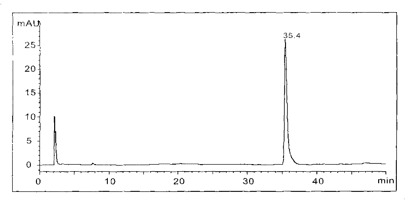 Rhodococcus strain for degrading 3-nitrotoluene, as well as preparation method and use