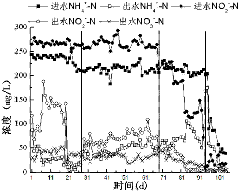 Culture method of AOB-ANAMMOX granular sludge