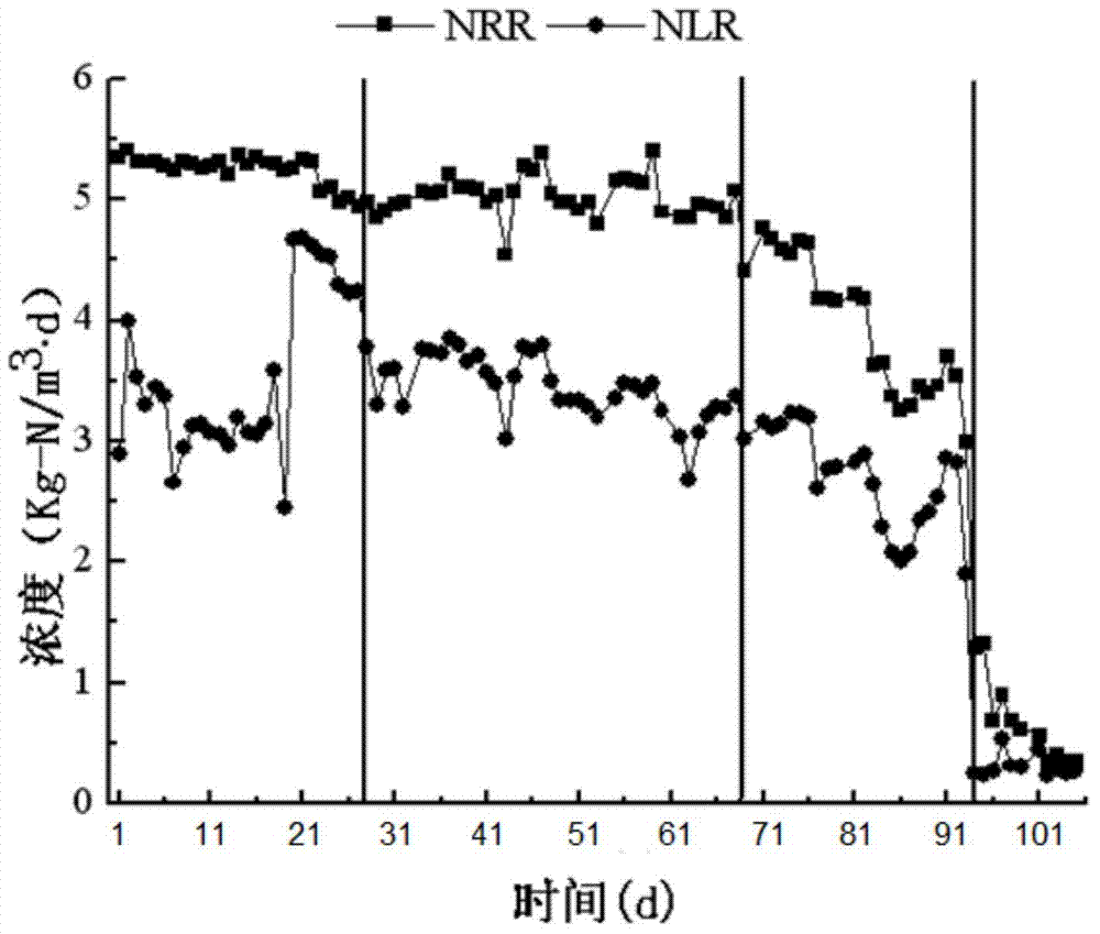 Culture method of AOB-ANAMMOX granular sludge