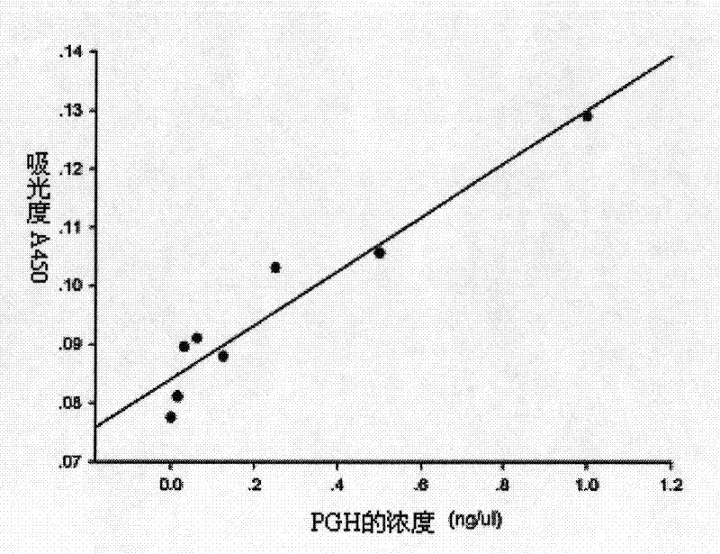 Artificially synthesized pig growth hormone gene and expression and purification method thereof