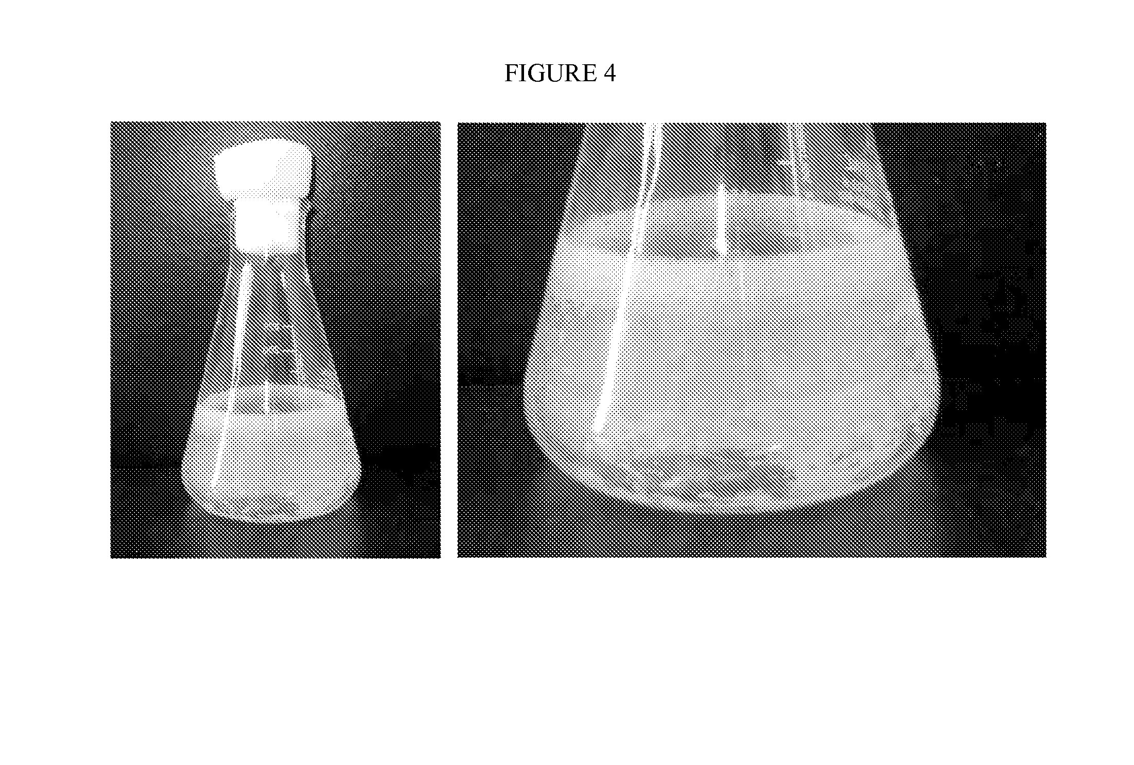 Bacteria and method for synthesizing fatty acids