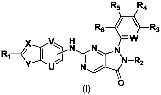 Pyrazolo[3,4-d]pyrimidine-3-ketone derivative as well as drug composition and application thereof