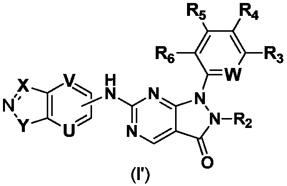 Pyrazolo[3,4-d]pyrimidine-3-ketone derivative as well as drug composition and application thereof