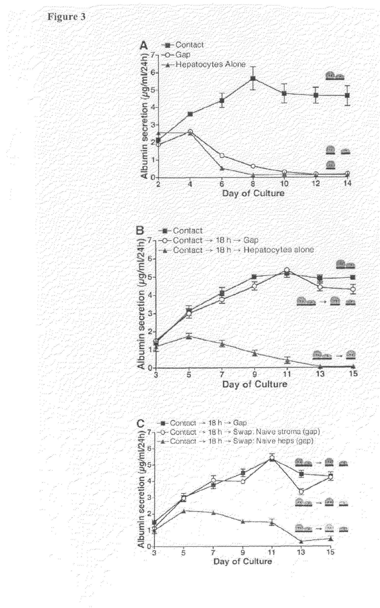 Micromechanical devices for control of cell-cell interaction, and methods of use thereof