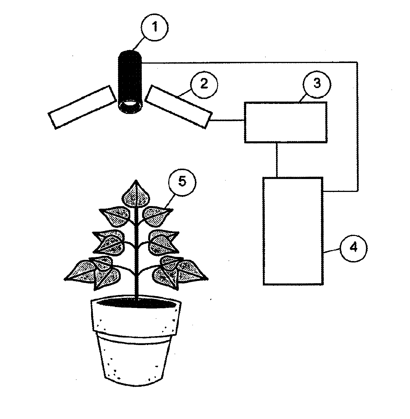 Method and device for determining plant material quality using images containing information about the quantum efficiency and the time response of the photosynthtic system